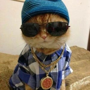 Meet your Posher, Jose